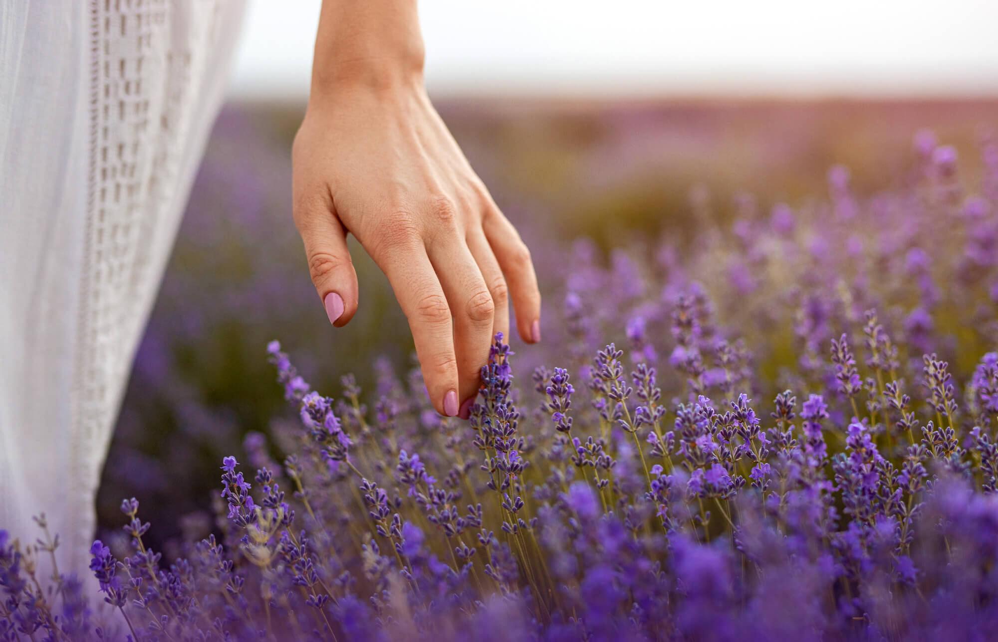 Free Your Mind: Stop Overthinking and Start Living